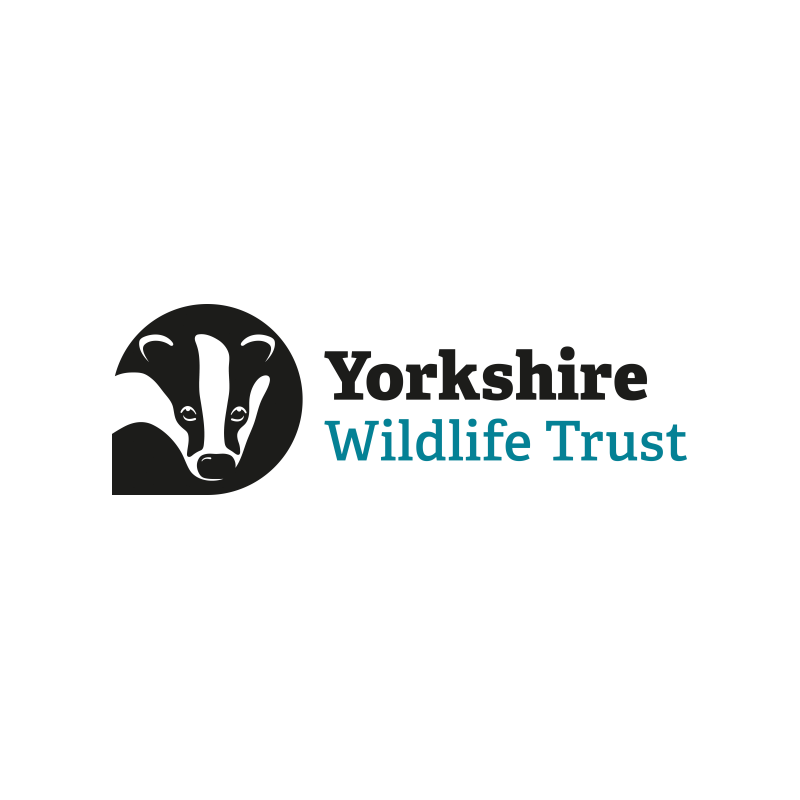 Yorkshire Wildlife Trust logo