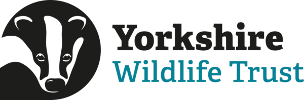 Yorkshire Wildlife Trust logo