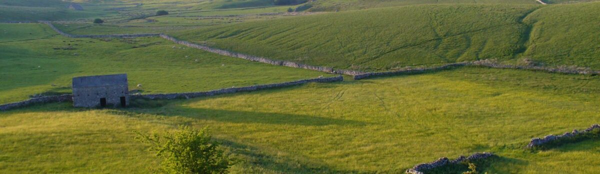 a rectangular field with dry stone walls